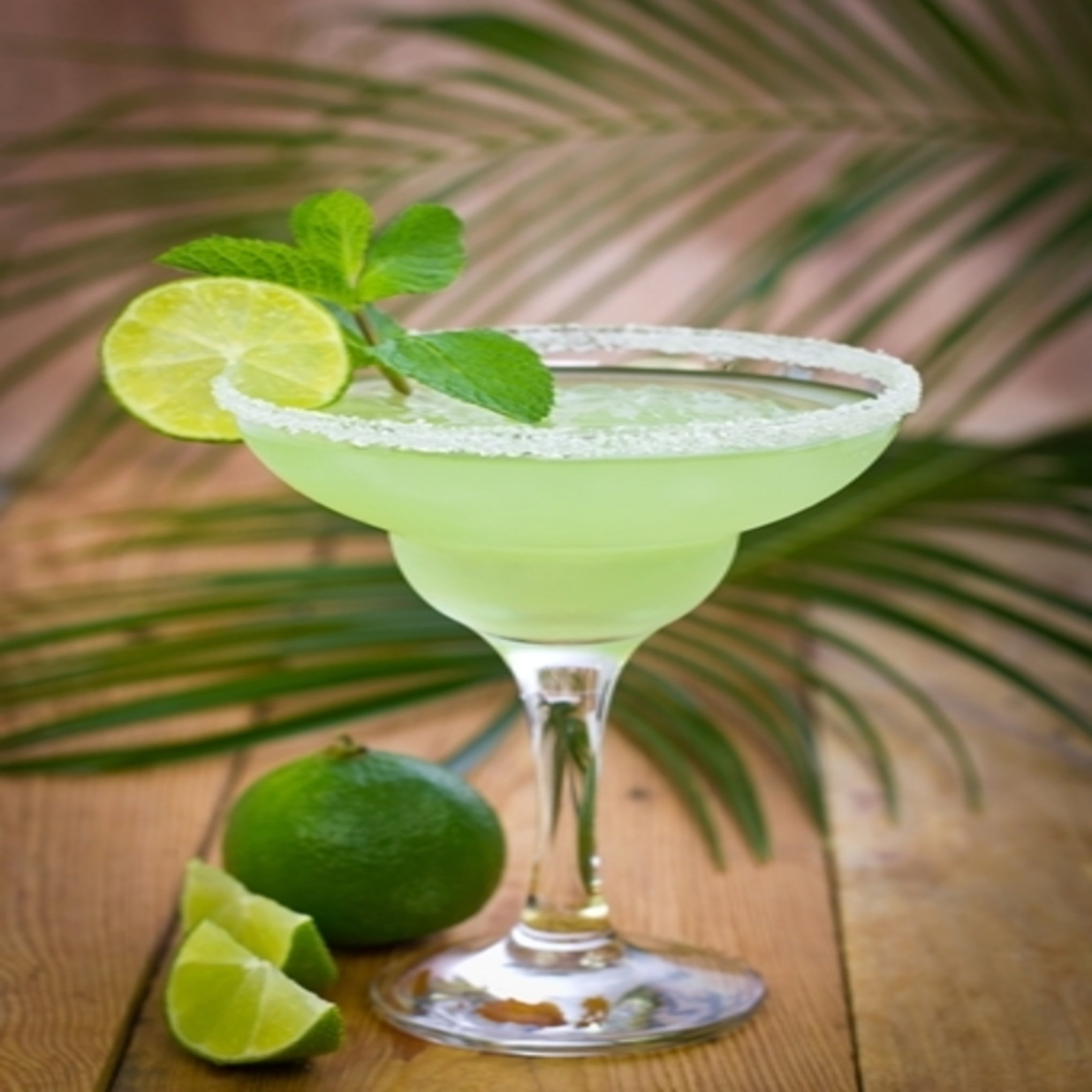 Amazon.com: Nostalgia Frozen Drink Maker and Margarita